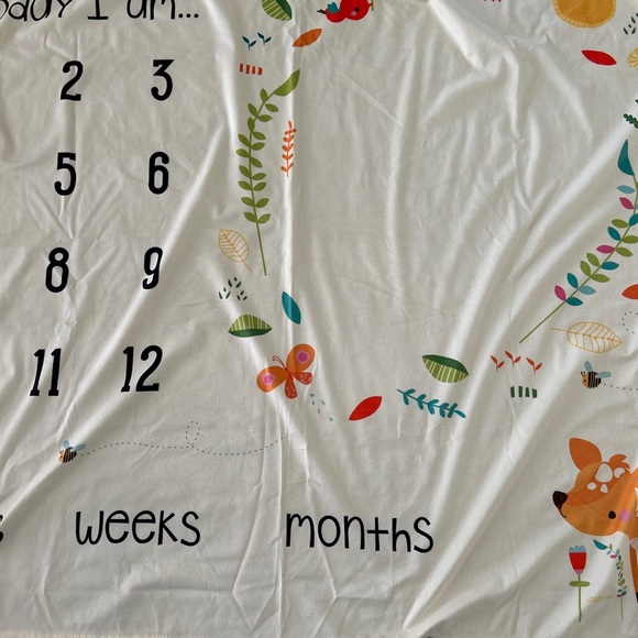 Baby Milestone Monthly Blanket Mat - Picture 5 of 6